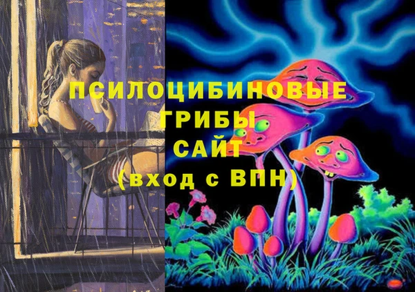 стаф Заволжье